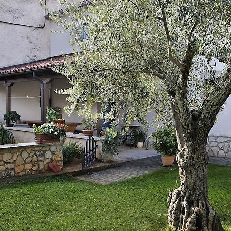 Apartment Vita Poreč Exterior foto